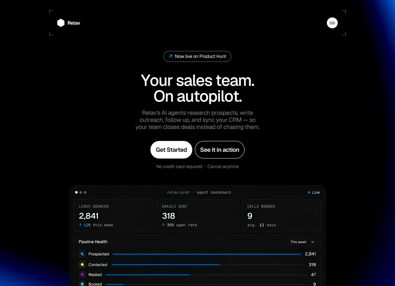 Relav website preview